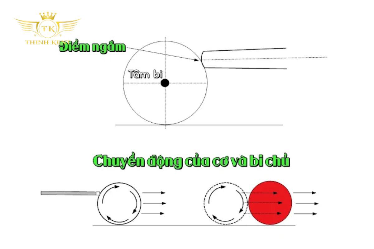 Bida Phăng (Bida Libre) là gì?